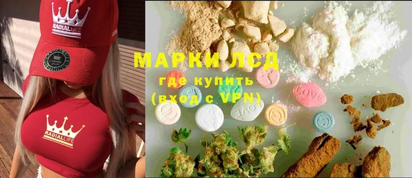 ПСИЛОЦИБИНОВЫЕ ГРИБЫ Абаза