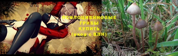 mdpv Абинск