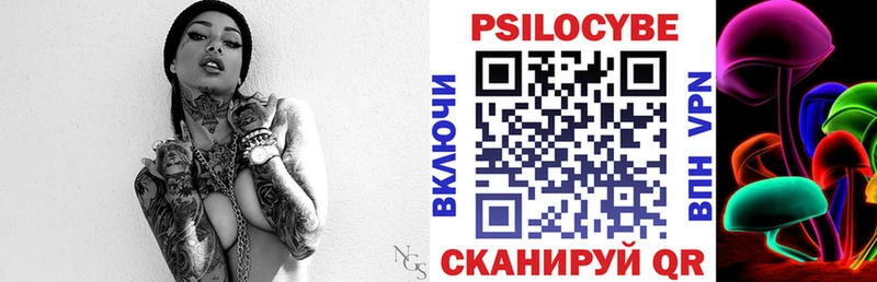 Псилоцибиновые грибы мицелий  Новотроицк 
