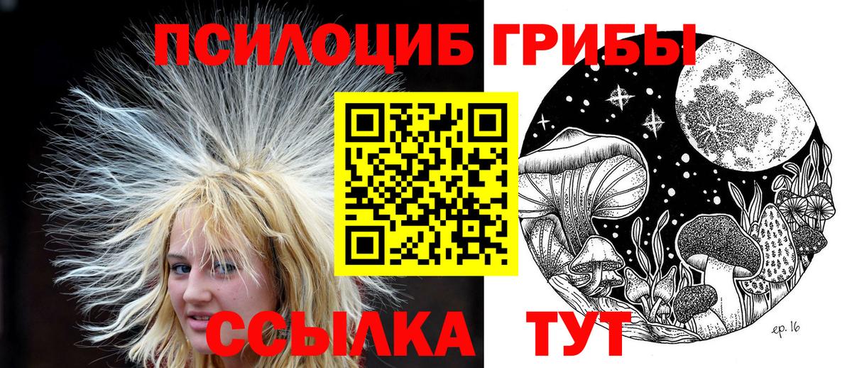 Галлюциногенные грибы Cubensis Новотроицк