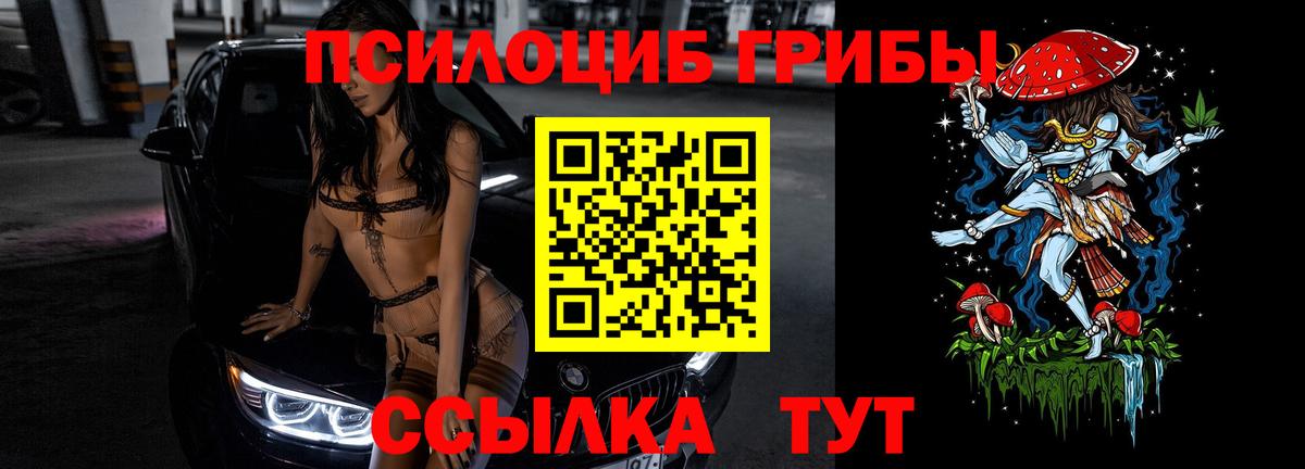 Новотроицк  Галлюциногенные грибы прущие грибы  Вход с VPN 