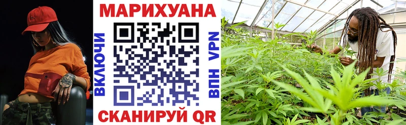 купить наркотики сайты Новотроицк mega рабочий сайт Конопля индика