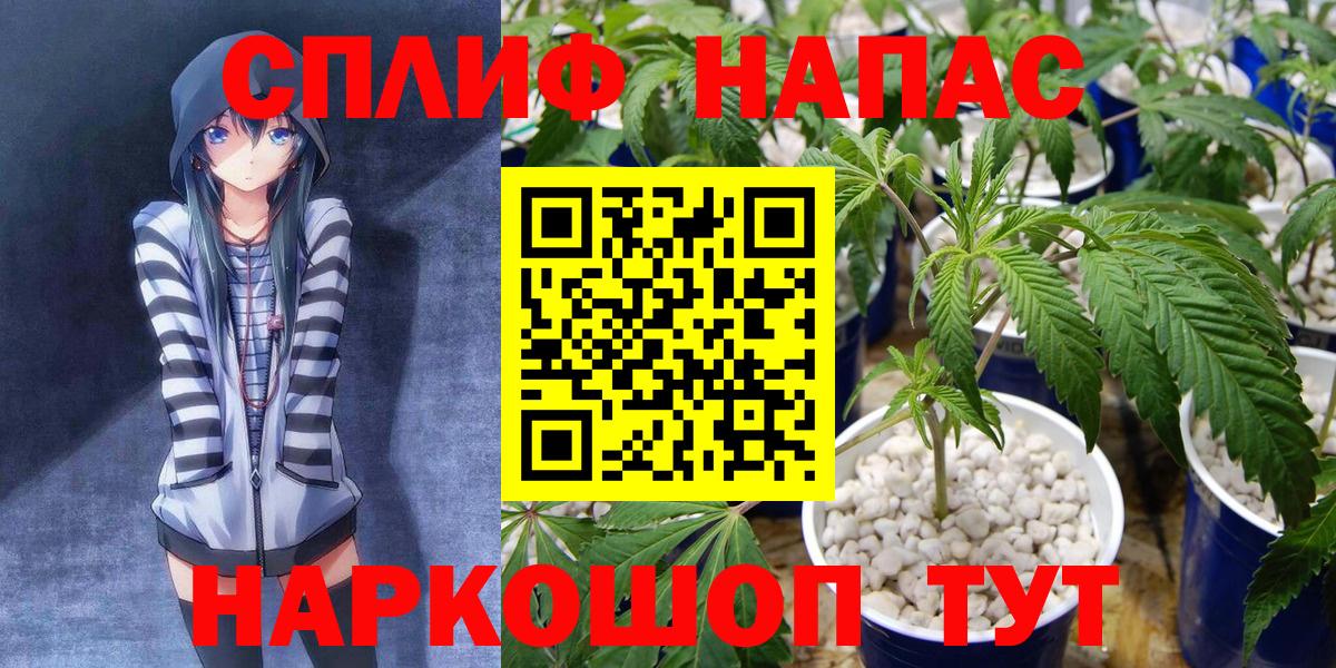 Канабис гибрид Новотроицк